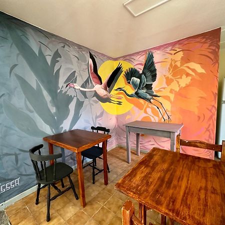 Amancay, Hostal Patagonico Hotel Ел Калафате Екстериор снимка
